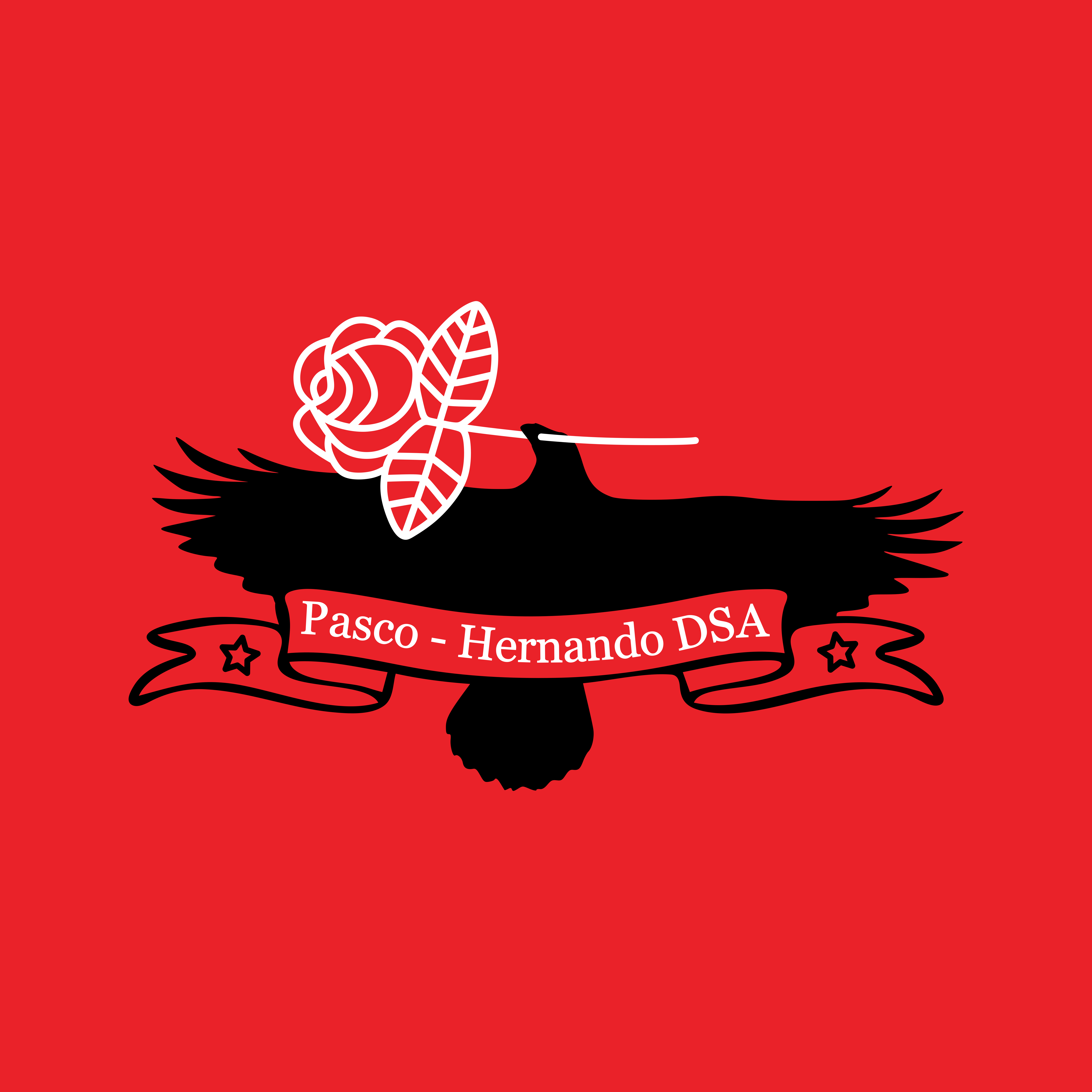 Calendar Pasco Hernando DSA