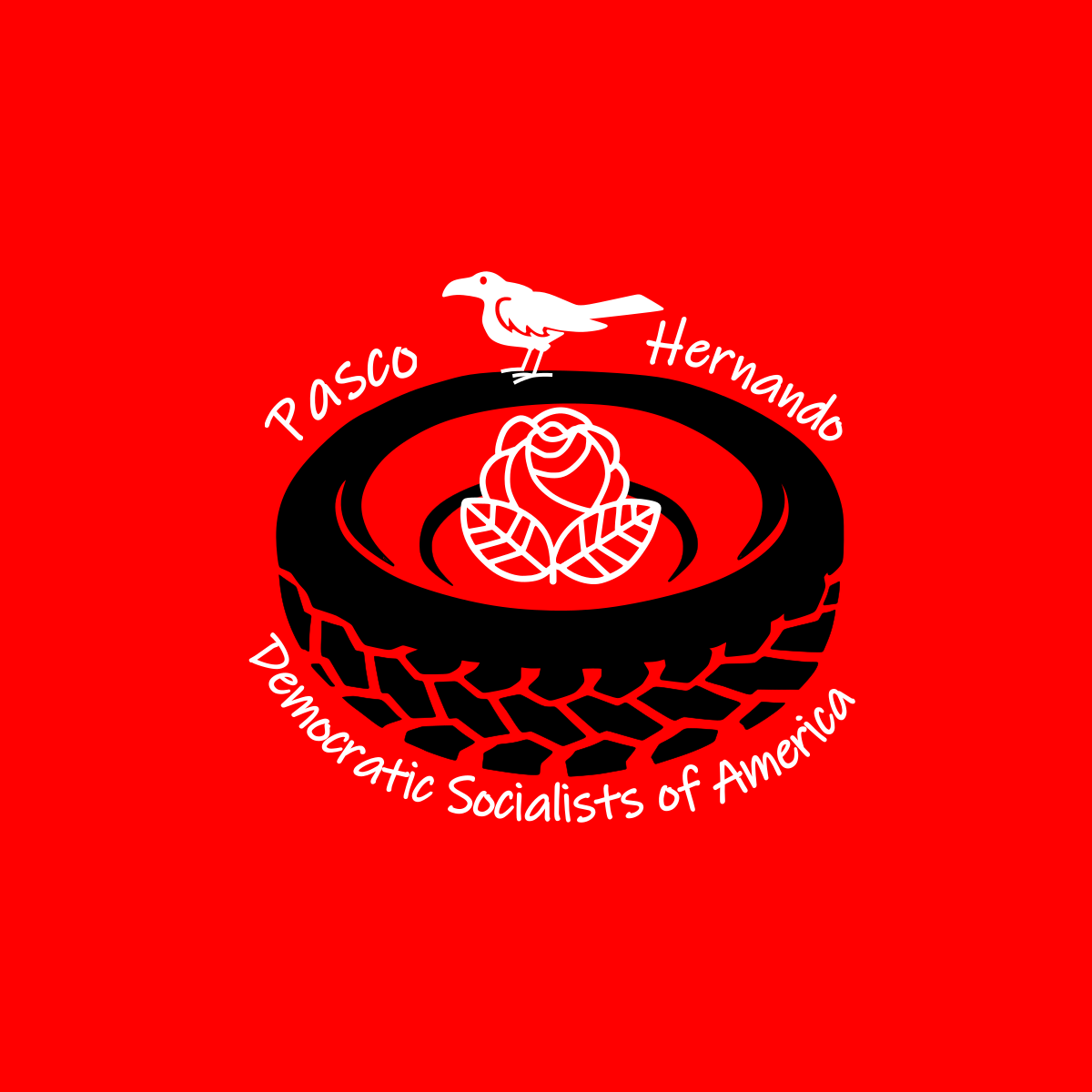 Pasco-Hernando Democratic Socialists of America logo